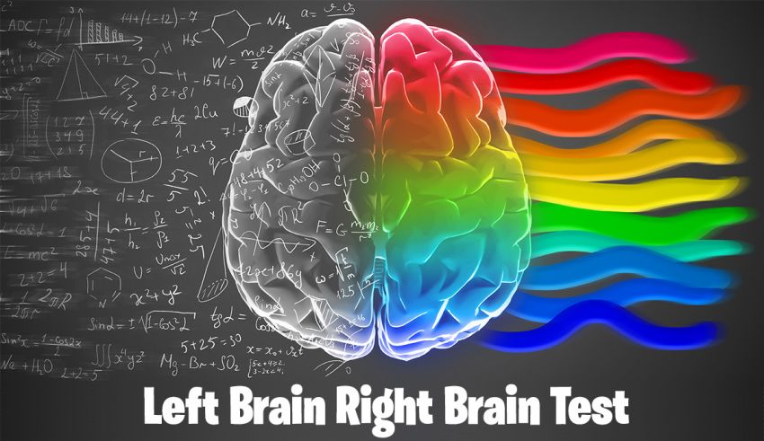 Left Brain Right Brain Test. 100% Reliable Psychology-Based